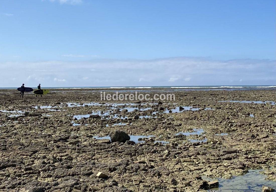 Photo 36 : EXTERIEUR d'une maison située à Ars en Ré, île de Ré.