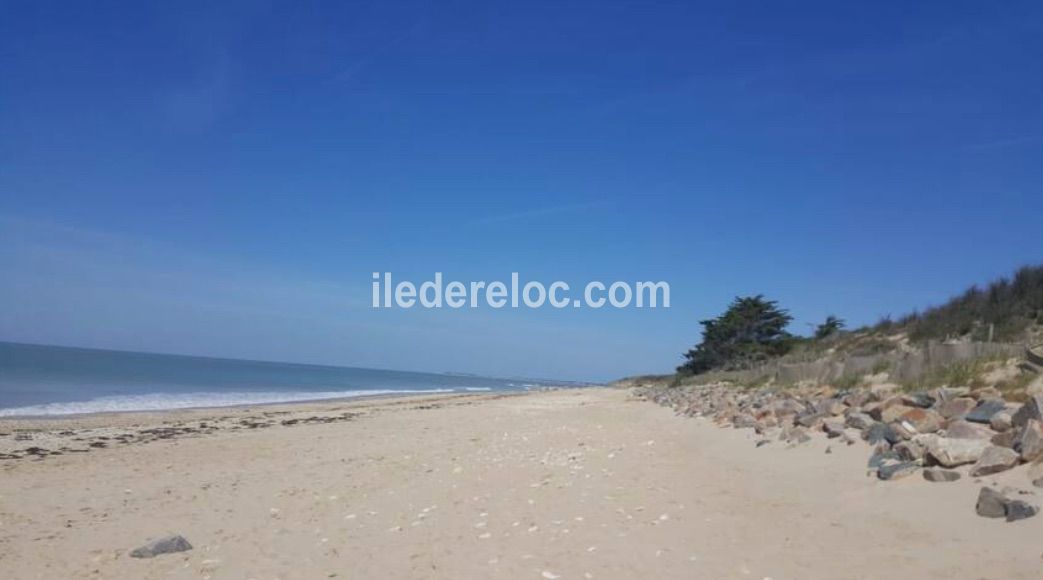 Photo 23 : NC d'une maison située à La Couarde, île de Ré.