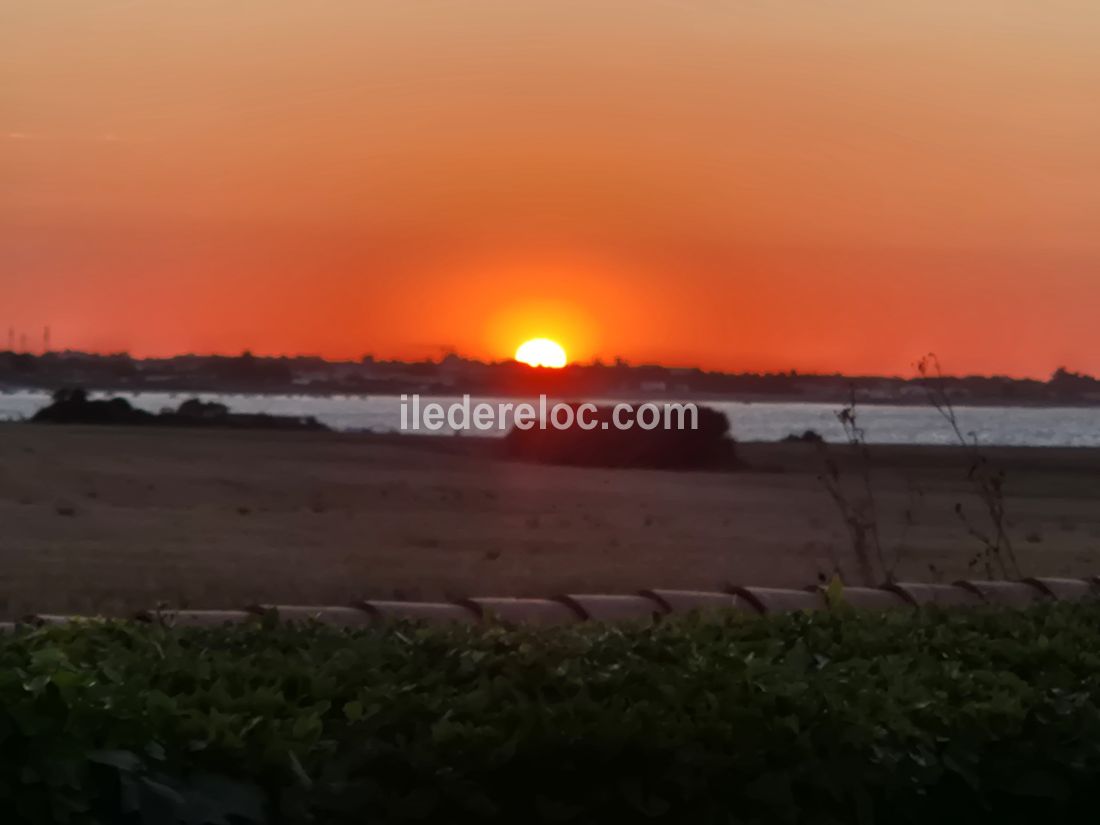 Photo 19 : EXTERIEUR d'une maison située à La Flotte-en-Ré, île de Ré.