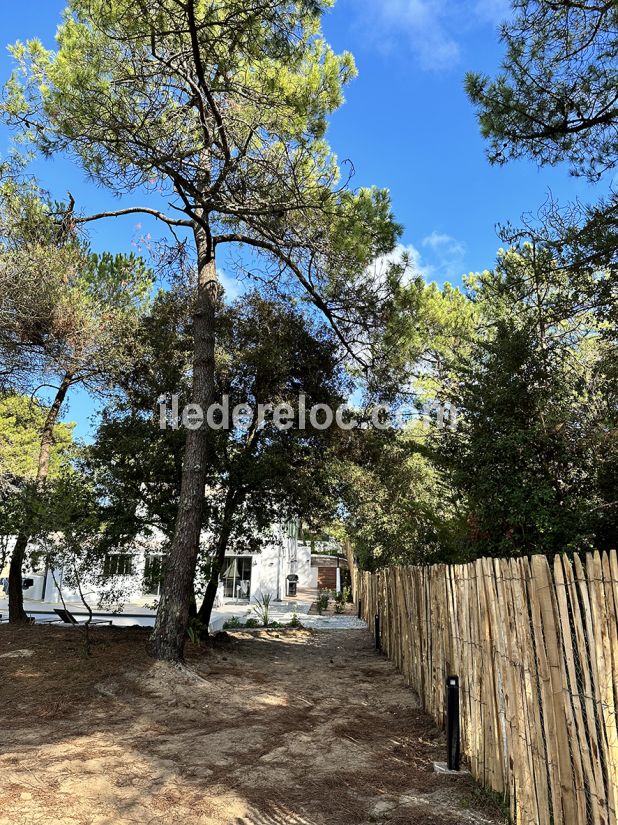 Photo 68 : JARDIN d'une maison située à Les Portes-en-Ré, île de Ré.