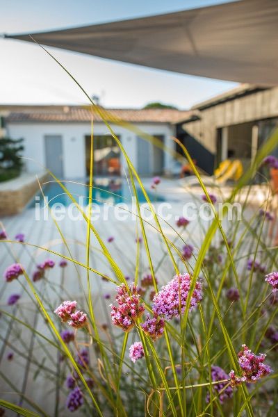 Photo 21 : NC d'une maison située à La Flotte-en-Ré, île de Ré.