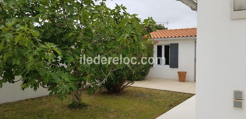 Photo 13 : JARDIN d'une maison située à Saint-Clément-des-Baleines, île de Ré.