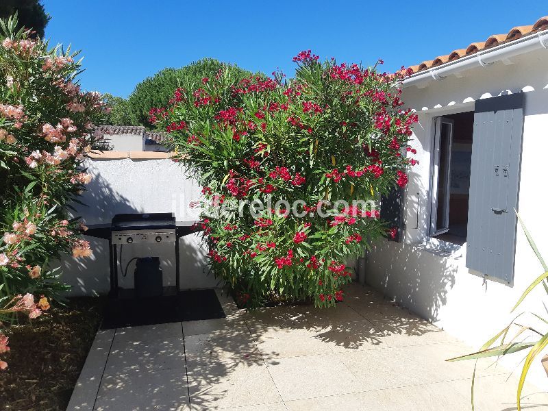 Photo 12 : TERRASSE d'une maison située à Saint-Clément-des-Baleines, île de Ré.