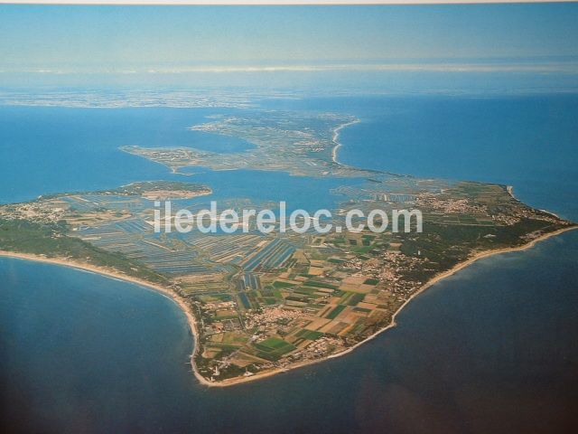 Photo 49 : NC d'une maison située à Saint-Martin-de-Ré, île de Ré.