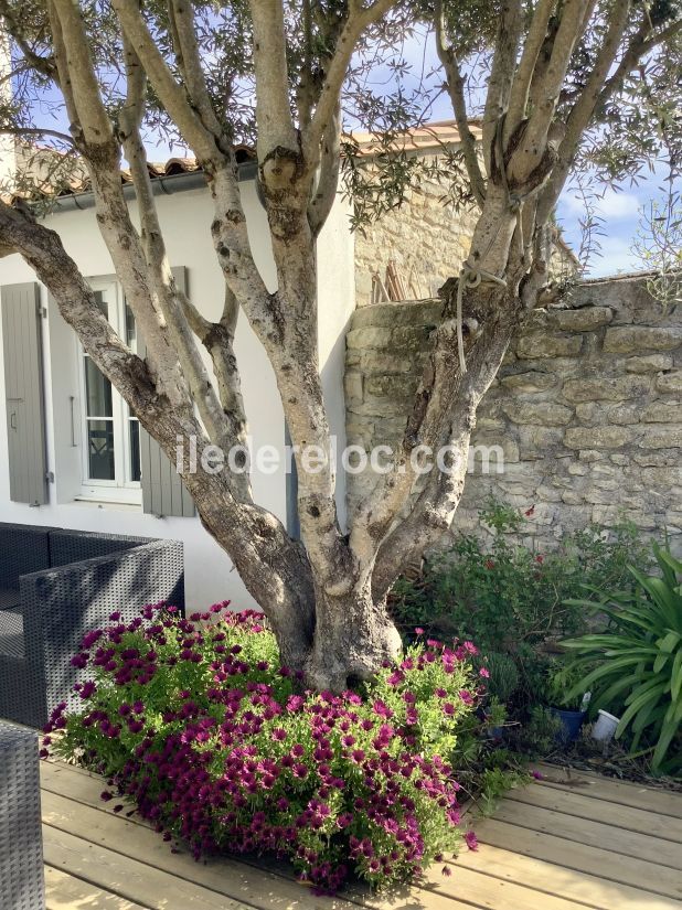Photo 58 : JARDIN d'une maison situ&eacute;e &agrave; Saint-Martin-de-R&eacute;, &icirc;le de R&eacute;.