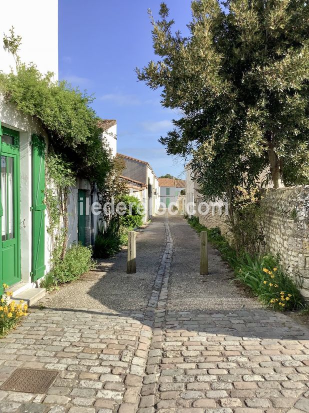 Photo 47 : NC d'une maison située à Saint-Martin-de-Ré, île de Ré.