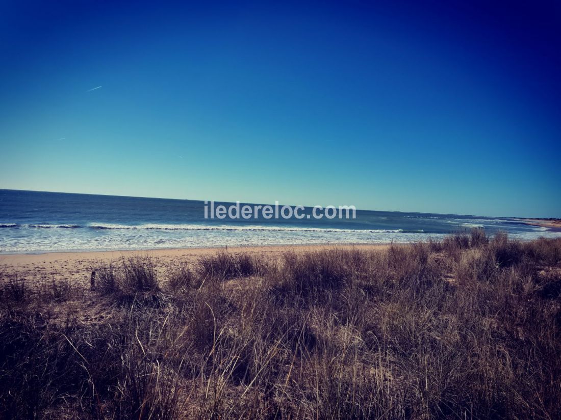 Photo 22 : AUTRE d'une maison situ&eacute;e &agrave; Le Bois-Plage-en-R&eacute;, &icirc;le de R&eacute;.