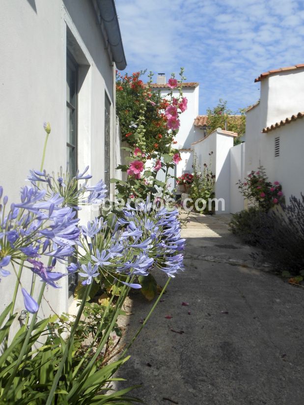 Photo 20 : AUTRE d'une maison située à Ars en Ré, île de Ré.