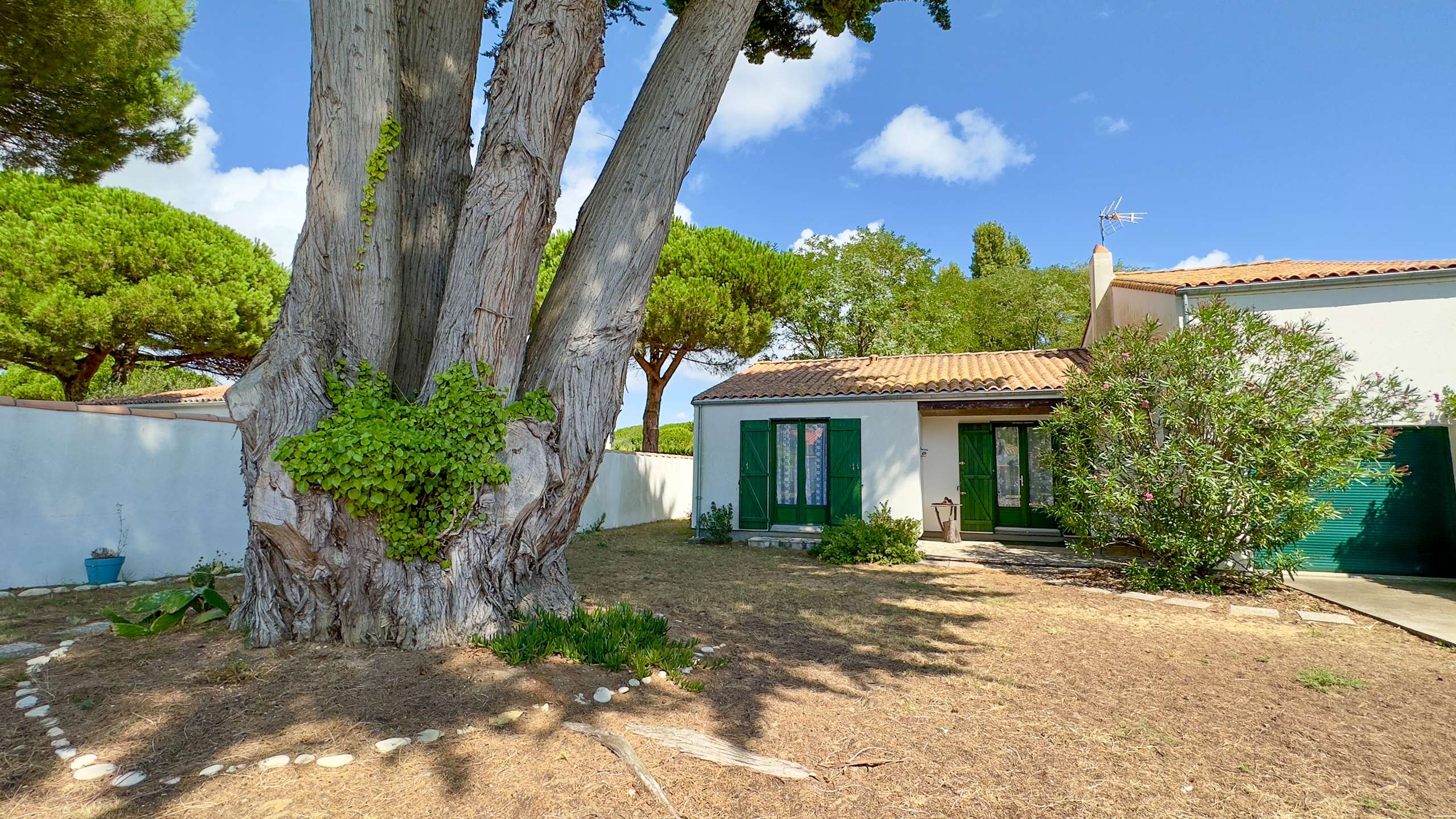 Photo 1 :  d'une maison située à La Couarde-sur-mer, île de Ré.