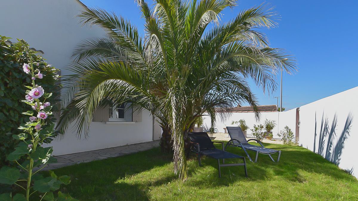 Photo 16 :  d'une maison située à Sainte-Marie-de-Ré, île de Ré.