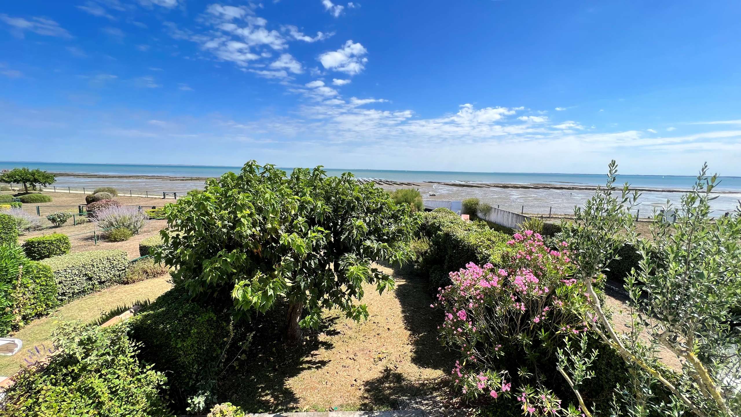 Photo 1 :  d'une maison située à La Flotte-en-Ré, île de Ré.