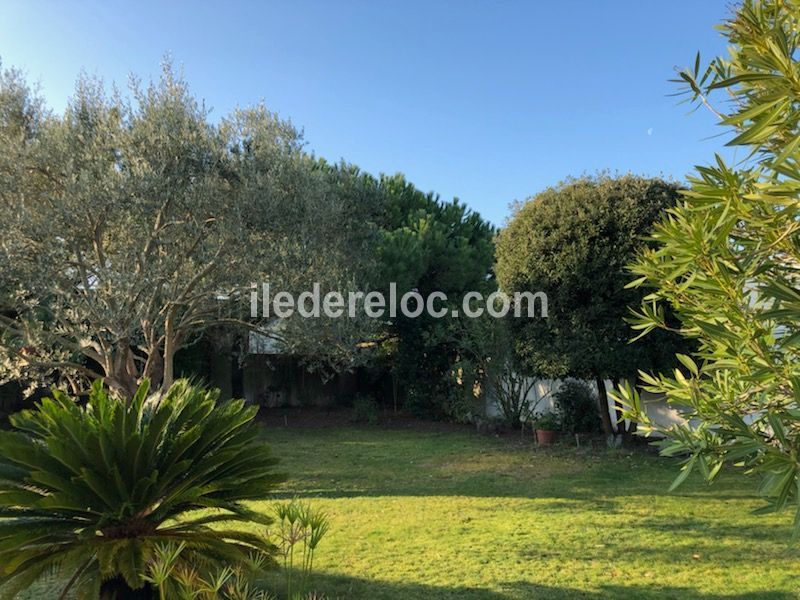 Photo 27 : JARDIN d'une maison située à La Couarde-sur-mer, île de Ré.