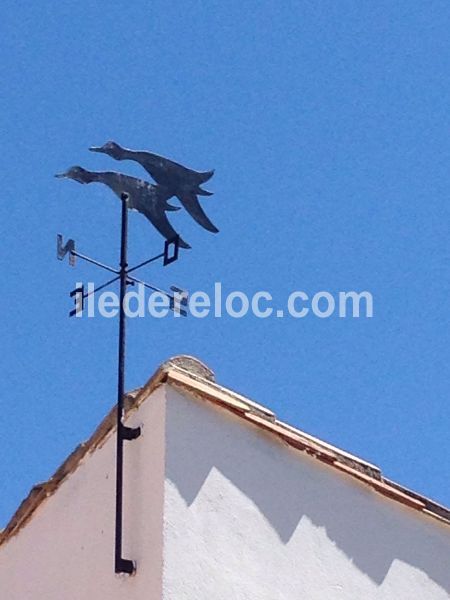 Photo 30 : AUTRE d'une maison située à La Couarde-sur-mer, île de Ré.