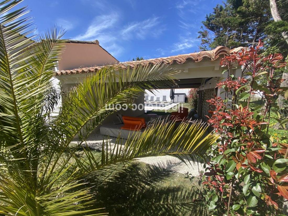 Photo 12 : JARDIN d'une maison située à La Couarde-sur-mer, île de Ré.