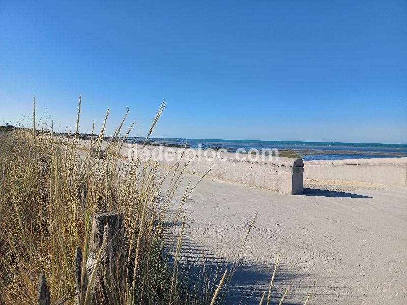 Photo 29 : AUTRE d'une maison située à Saint-Clément-des-Baleines, île de Ré.