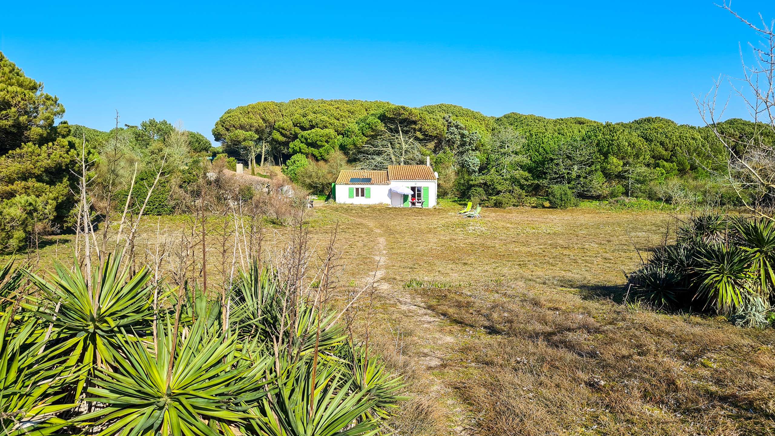 Photo 1 :  d'une maison située à Le Bois-Plage-en-Ré, île de Ré.