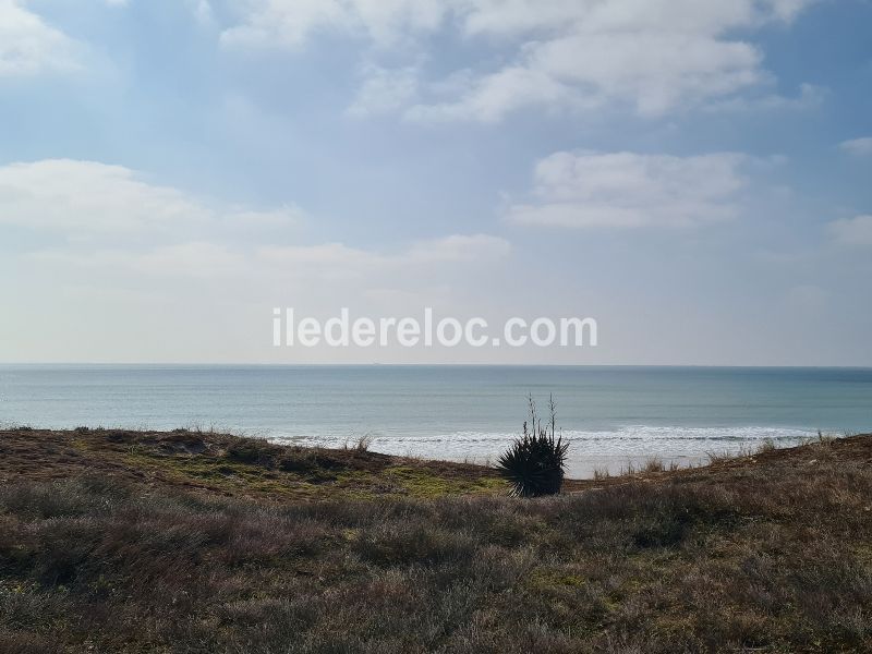 Photo 35 : EXTERIEUR d'une maison située à Le Bois-Plage-en-Ré, île de Ré.