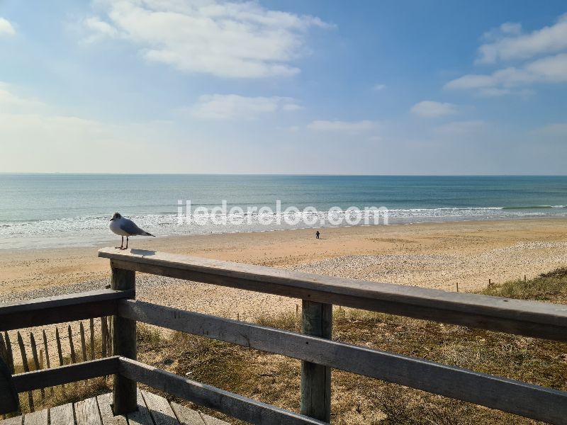 Photo 32 : EXTERIEUR d'une maison située à Le Bois-Plage-en-Ré, île de Ré.