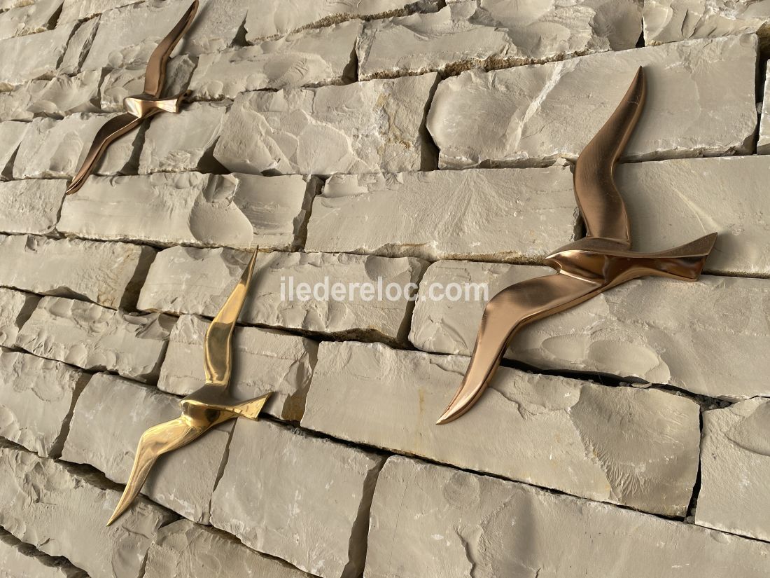 Photo 17 : SEJOUR d'une maison situ&eacute;e &agrave; Le Bois-Plage-en-R&eacute;, &icirc;le de R&eacute;.