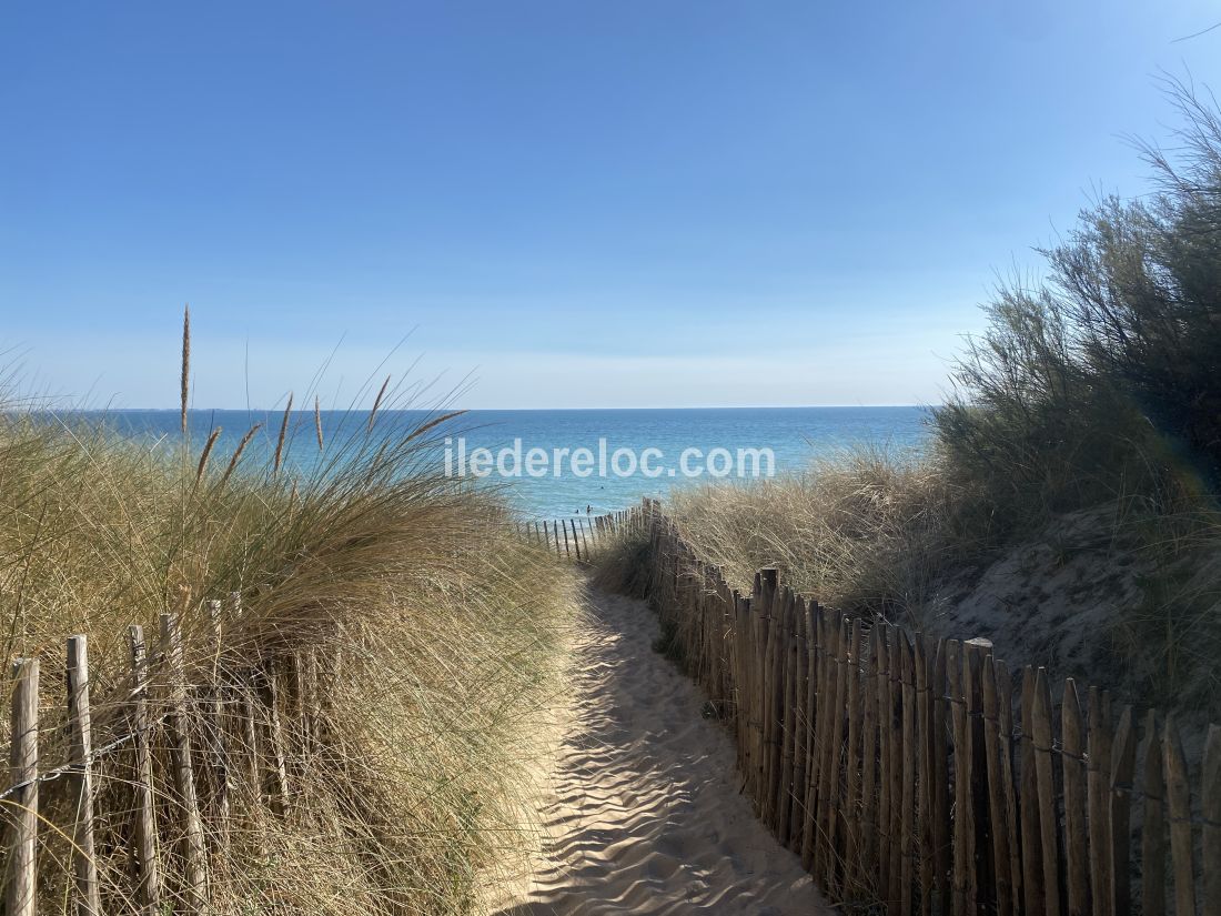 Photo 58 : NC d'une maison situ&eacute;e &agrave; Le Bois-Plage-en-R&eacute;, &icirc;le de R&eacute;.