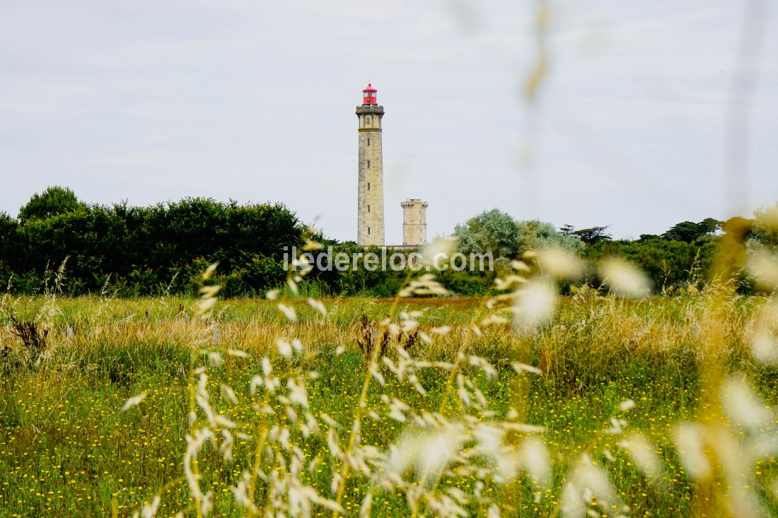 Photo 29 : AUTRE d'une maison située à Saint-Clément-des-Baleines, île de Ré.