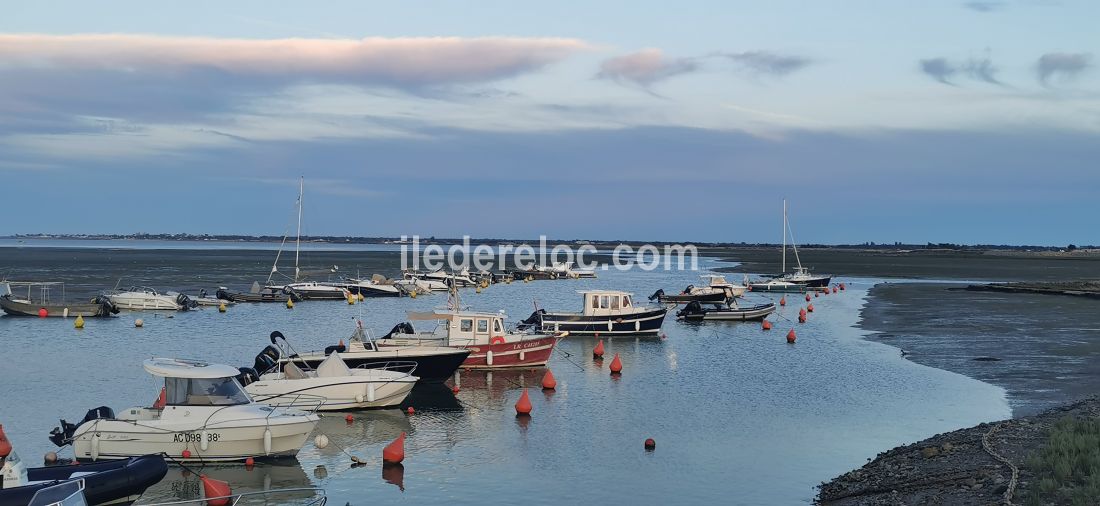 Photo 23 : NC d'une maison située à La Flotte-en-Ré, île de Ré.