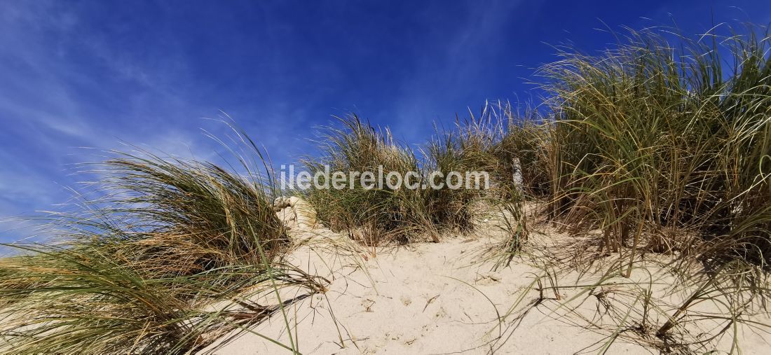 Photo 20 : NC d'une maison située à La Flotte-en-Ré, île de Ré.