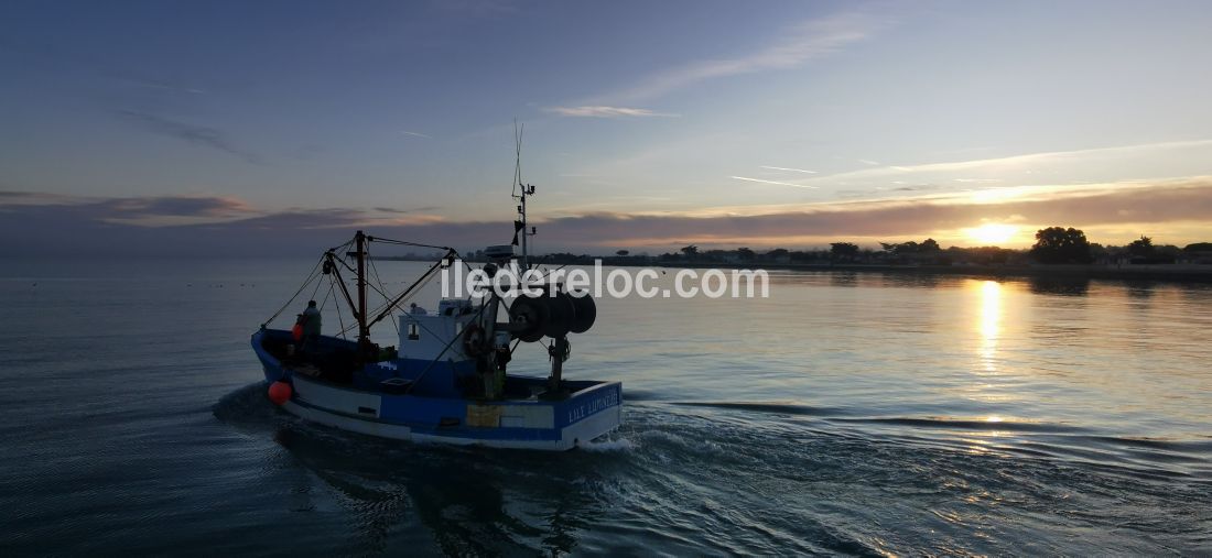 Photo 17 : NC d'une maison située à La Flotte-en-Ré, île de Ré.