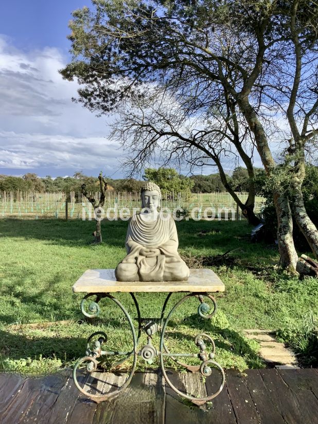 Photo 13 : JARDIN d'une maison située à Sainte-Marie-de-Ré, île de Ré.