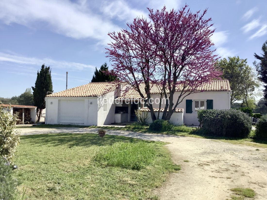 Photo 36 : NC d'une maison située à Sainte-Marie-de-Ré, île de Ré.