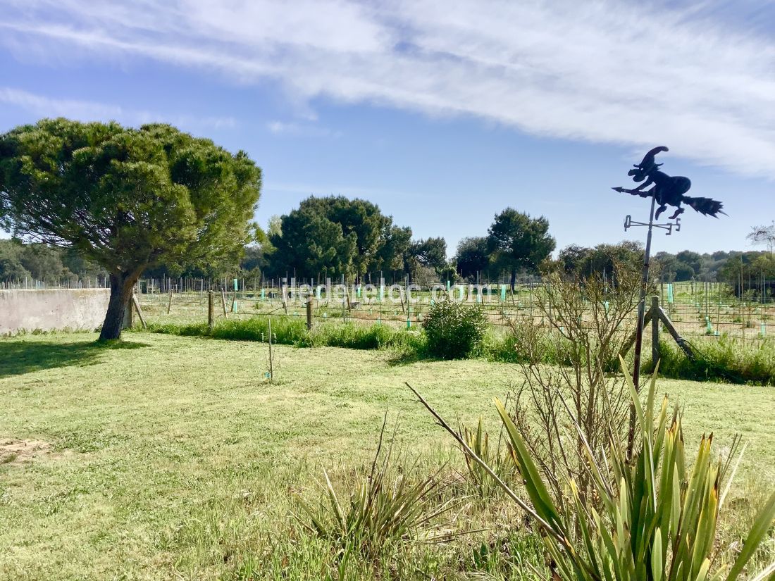 Photo 32 : NC d'une maison située à Sainte-Marie-de-Ré, île de Ré.