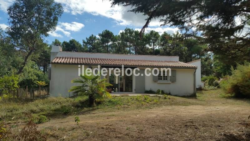 Photo 3 : TERRASSE d'une maison située à La Flotte-en-Ré, île de Ré.