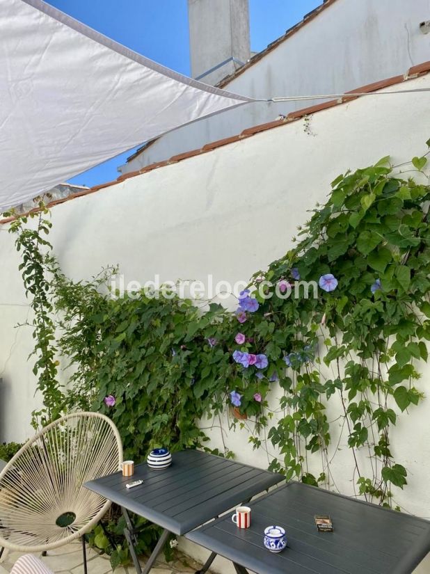 Photo 10 : PATIO d'une maison située à Loix, île de Ré.