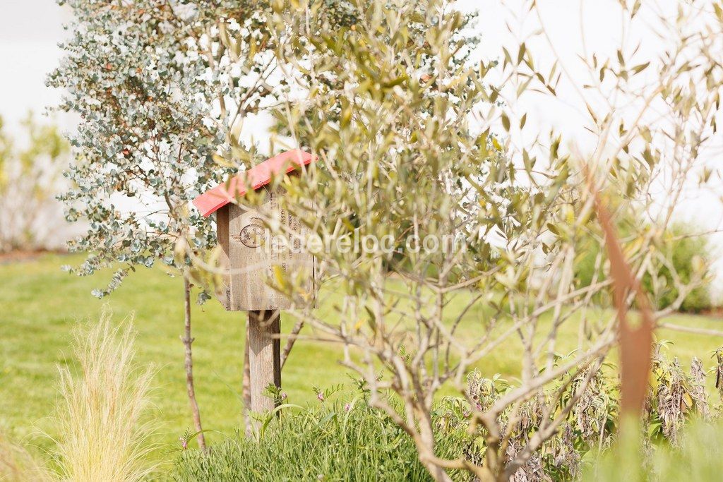 Photo 13 : EXTERIEUR d'une maison situ&eacute;e &agrave; Sainte-Marie-de-R&eacute;, &icirc;le de R&eacute;.