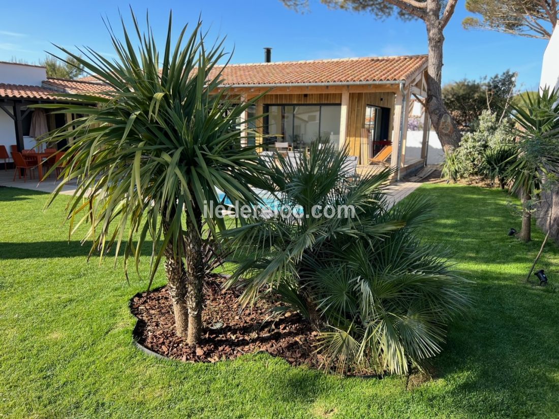 Photo 8 : JARDIN d'une maison située à La Couarde-sur-mer, île de Ré.