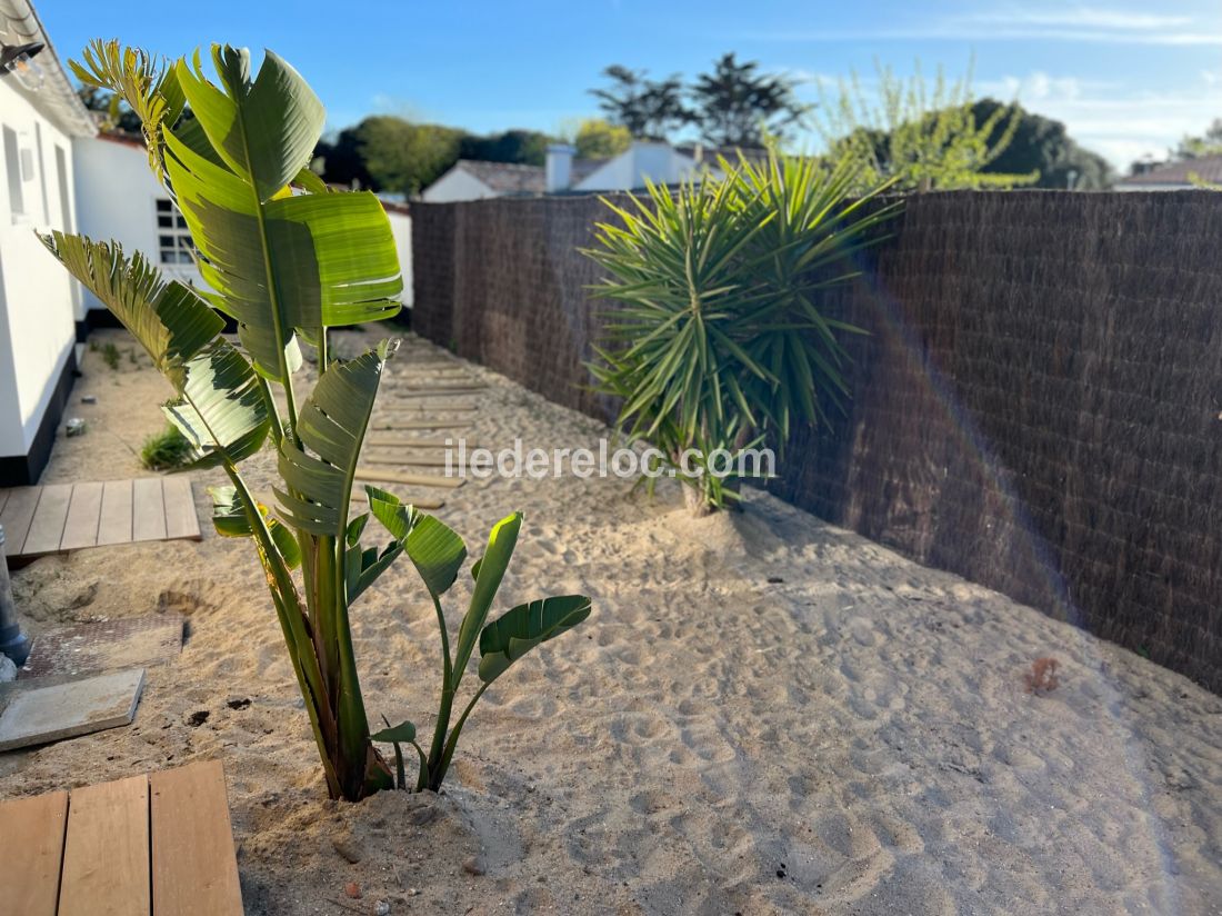 Photo 101 : NC d'une maison située à La Couarde-sur-mer, île de Ré.