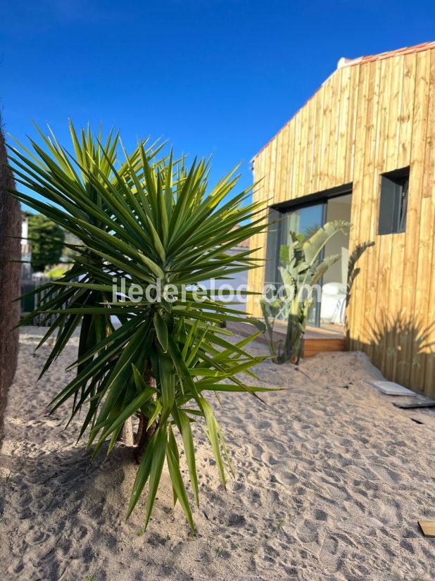 Photo 100 : NC d'une maison située à La Couarde-sur-mer, île de Ré.