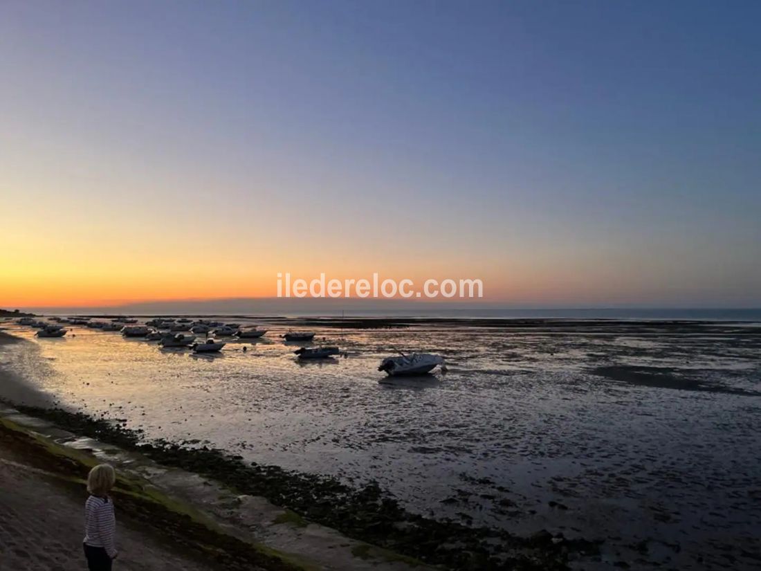 Photo 31 : NC d'une maison située à La Flotte, île de Ré.