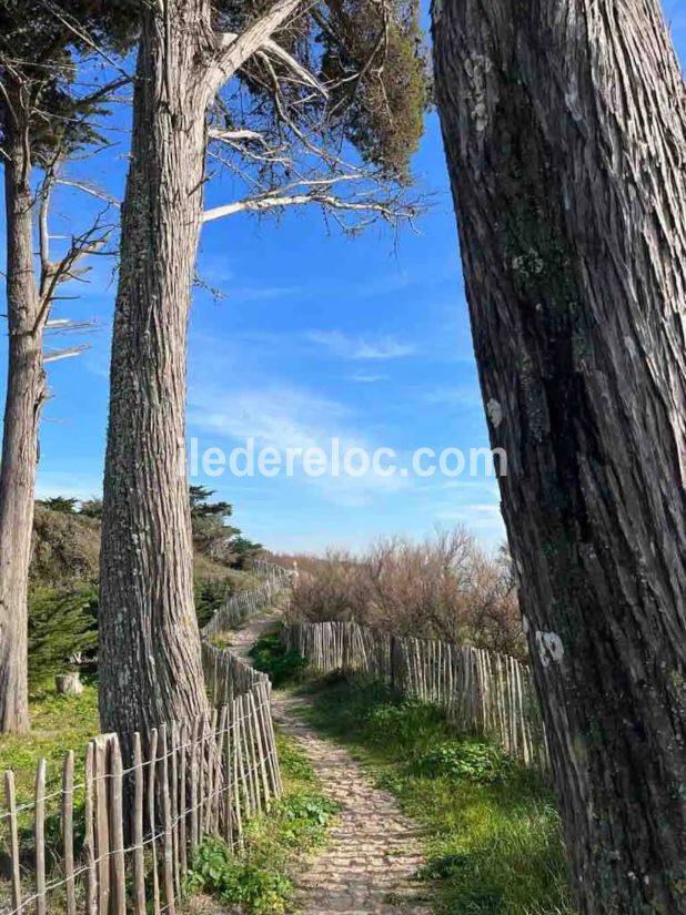 Photo 21 : NC d'une maison située à La Flotte, île de Ré.