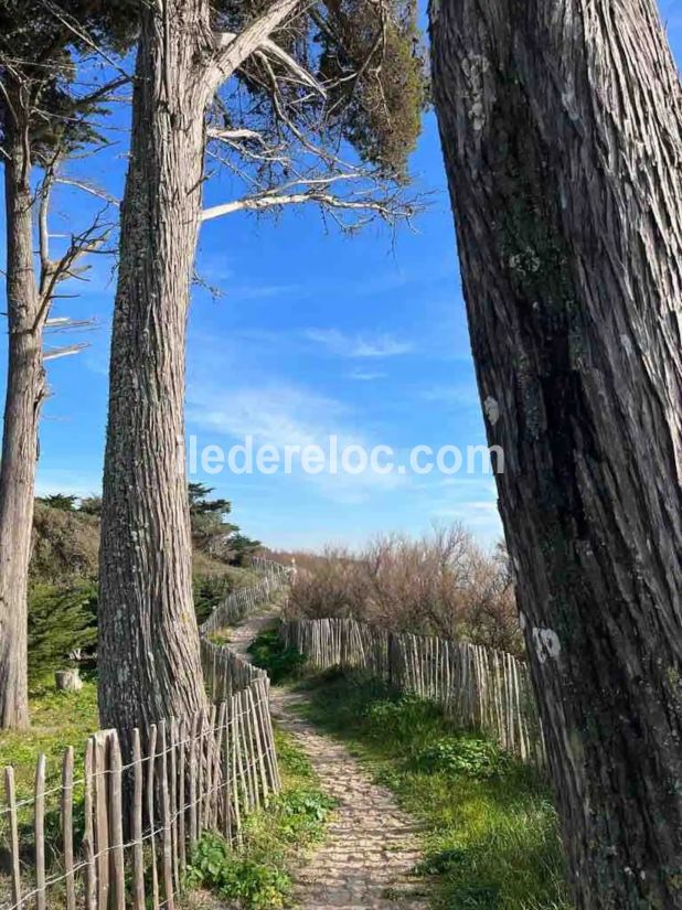 Photo 21 : NC d'une maison située à La Flotte-en-Ré, île de Ré.