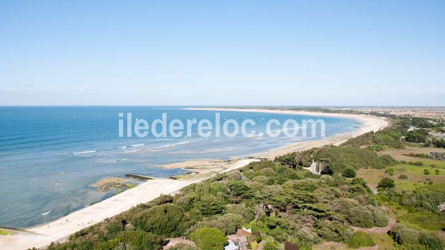 Photo 49 : NC d'une maison située à Sainte-Marie-de-Ré, île de Ré.