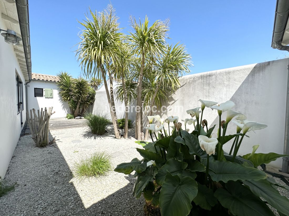 Photo 22 : JARDIN d'une maison située à Sainte-Marie-de-Ré, île de Ré.