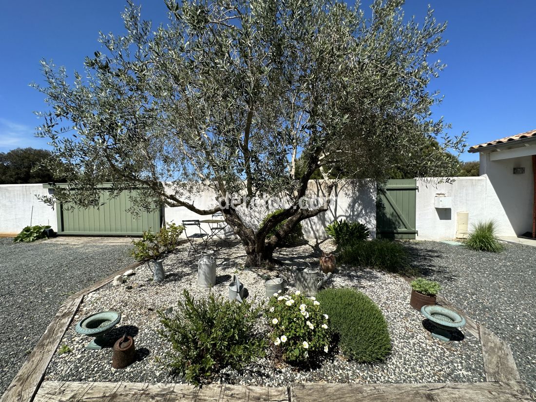 Photo 46 : EXTERIEUR d'une maison située à Sainte-Marie-de-Ré, île de Ré.