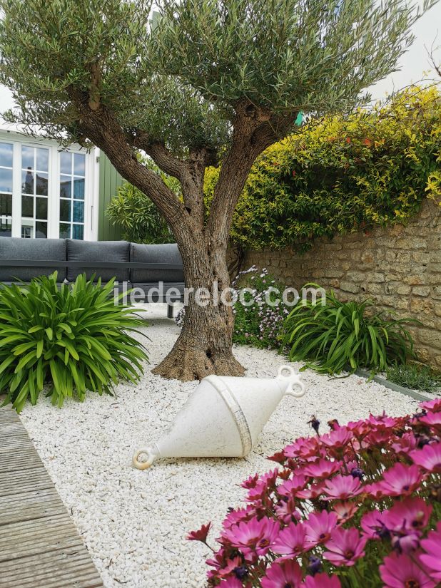 Photo 2 : EXTERIEUR d'une maison située à Ars en Ré, île de Ré.