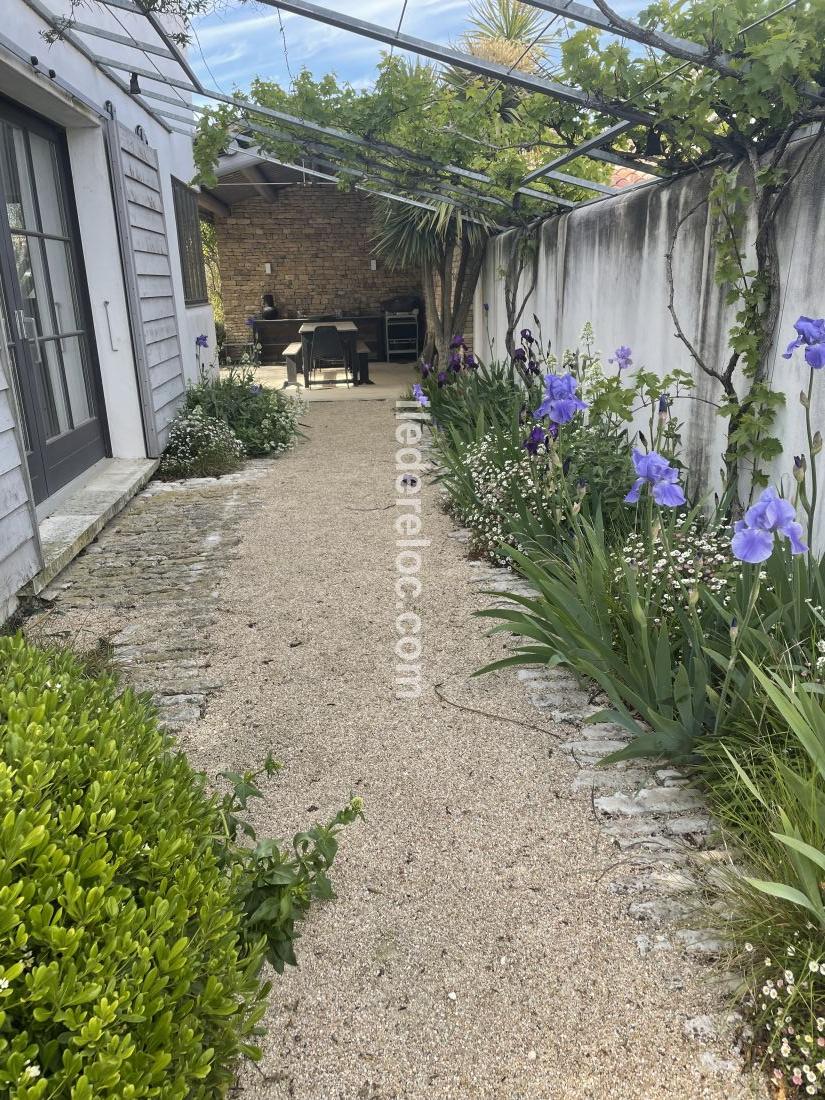 Photo 3 : JARDIN d'une maison située à Les Portes-en-Ré, île de Ré.