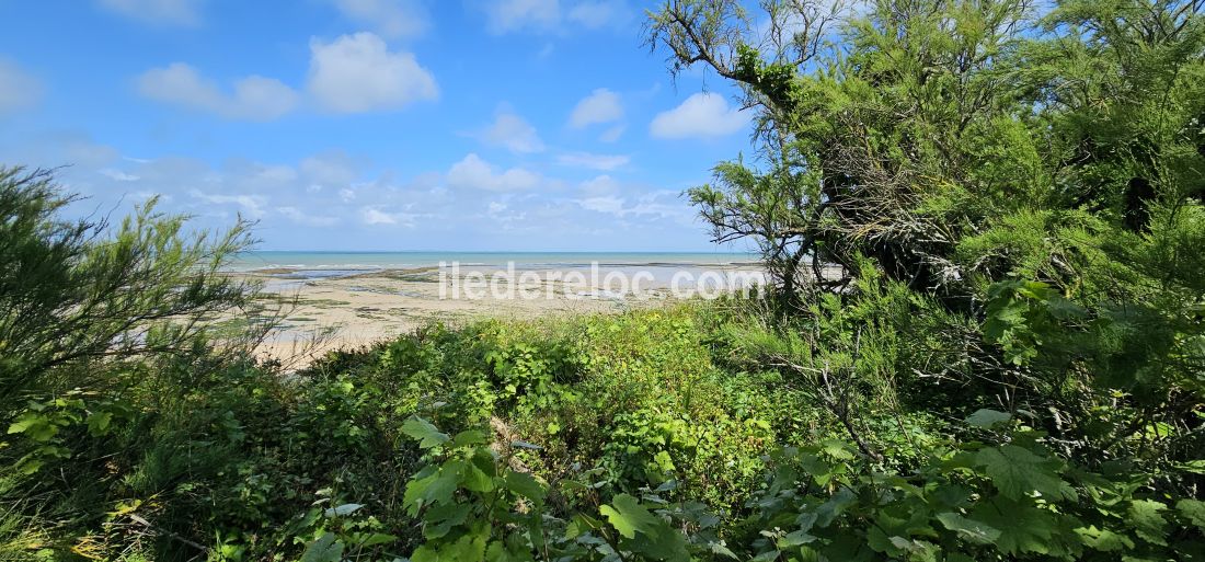 Photo 7 : NC d'une maison située à Les Portes-en-Ré, île de Ré.