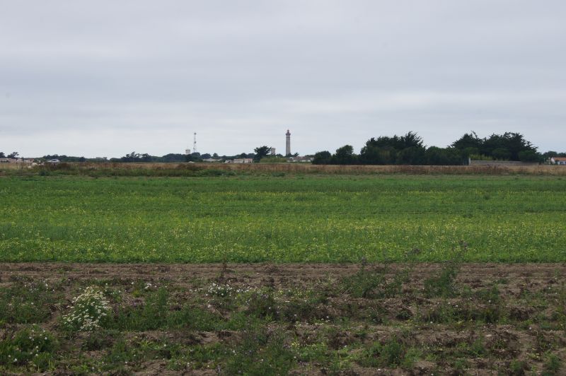 Photo 8 : AUTRE d'une maison située à Saint-Clément-des-Baleines, île de Ré.