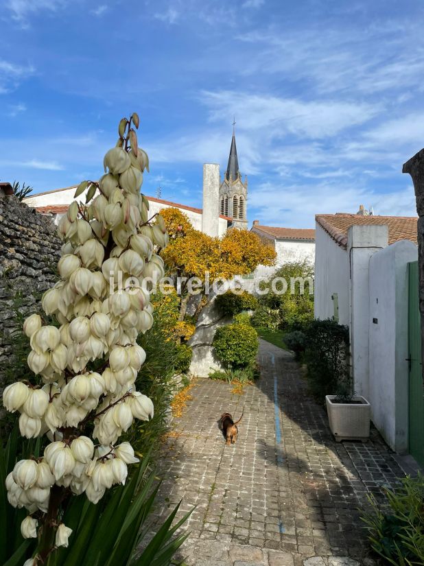 Photo 7 : NC d'une maison située à La Couarde-sur-mer, île de Ré.