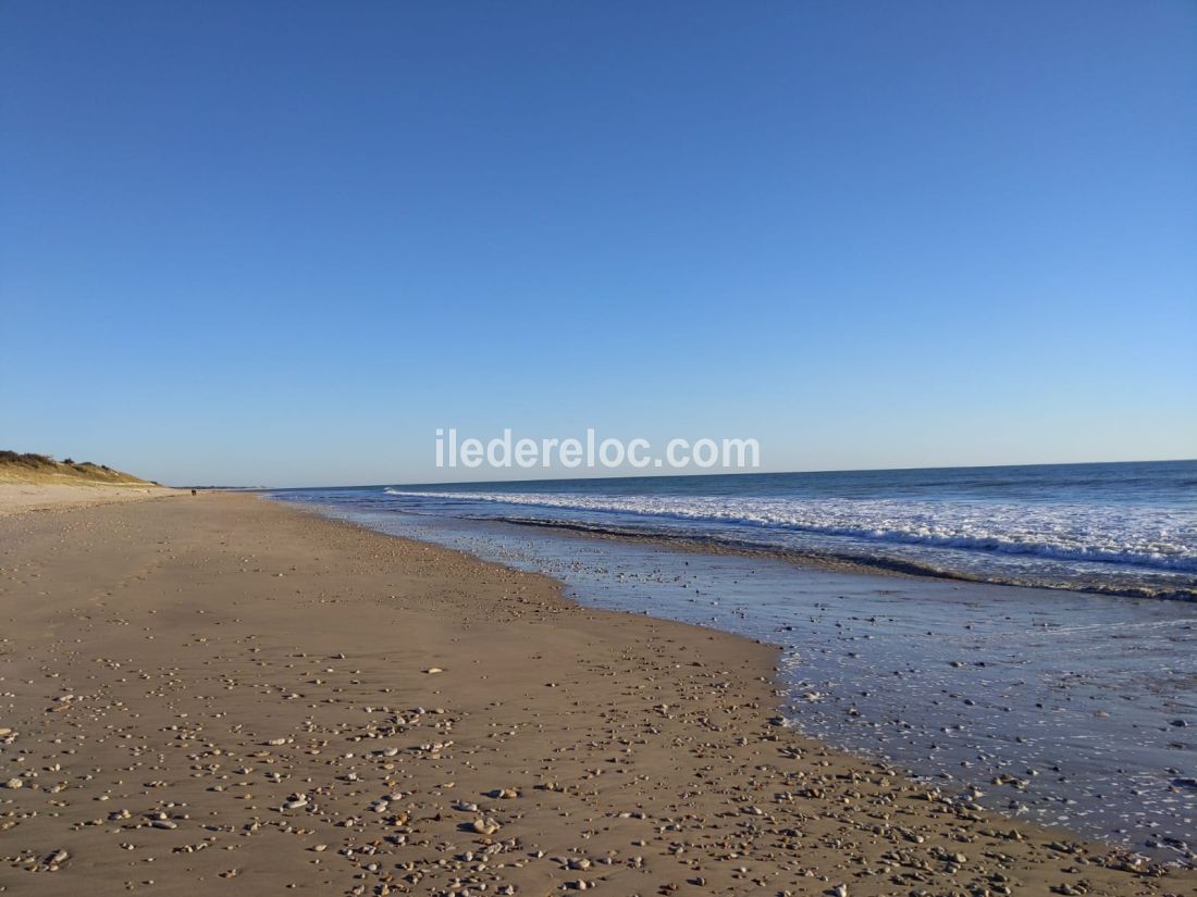Photo 22 : NC d'une maison situ&eacute;e &agrave; La Couarde-sur-mer, &icirc;le de R&eacute;.