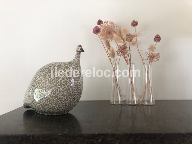 Photo 12 : NC d'une maison situ&eacute;e &agrave; La Couarde-sur-mer, &icirc;le de R&eacute;.